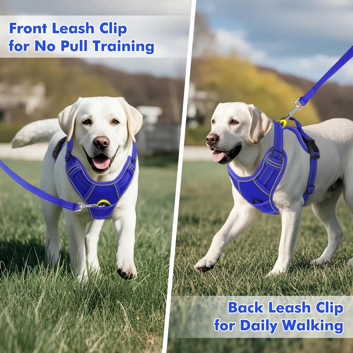 Joytale Step-in No Pull Dog Harness for Large Dogs with 2 Leash Clips, Reflective Pet Vest with Easy Control Handle, Adjustable Soft Padded Harness for Walking and Training, Royal Blue,L
