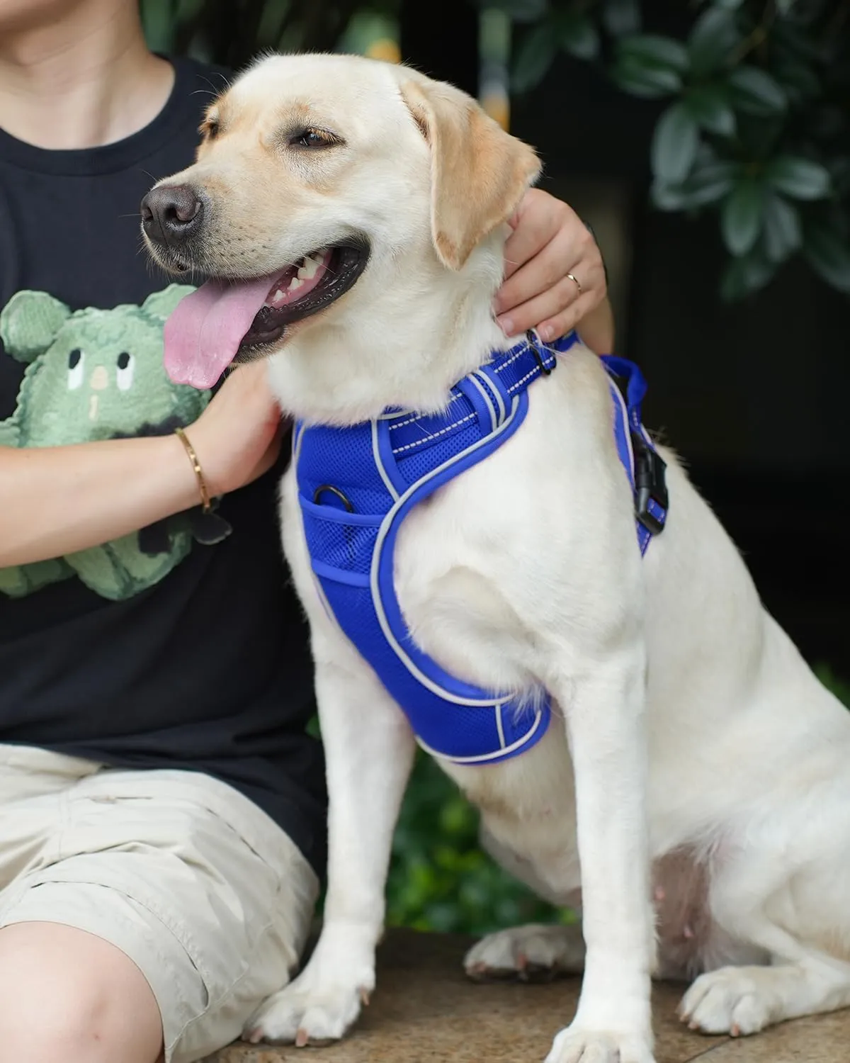 Joytale Step-in No Pull Dog Harness for Large Dogs with 2 Leash Clips, Reflective Pet Vest with Easy Control Handle, Adjustable Soft Padded Harness for Walking and Training, Royal Blue,L