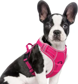 Joytale Step-in No Pull Dog Harness for Small Dogs with 2 Leash Clips, Reflective Pet Vest with Easy Control Handle, Adjustable Soft Padded Harness for Walking and Training, Hotpink,S