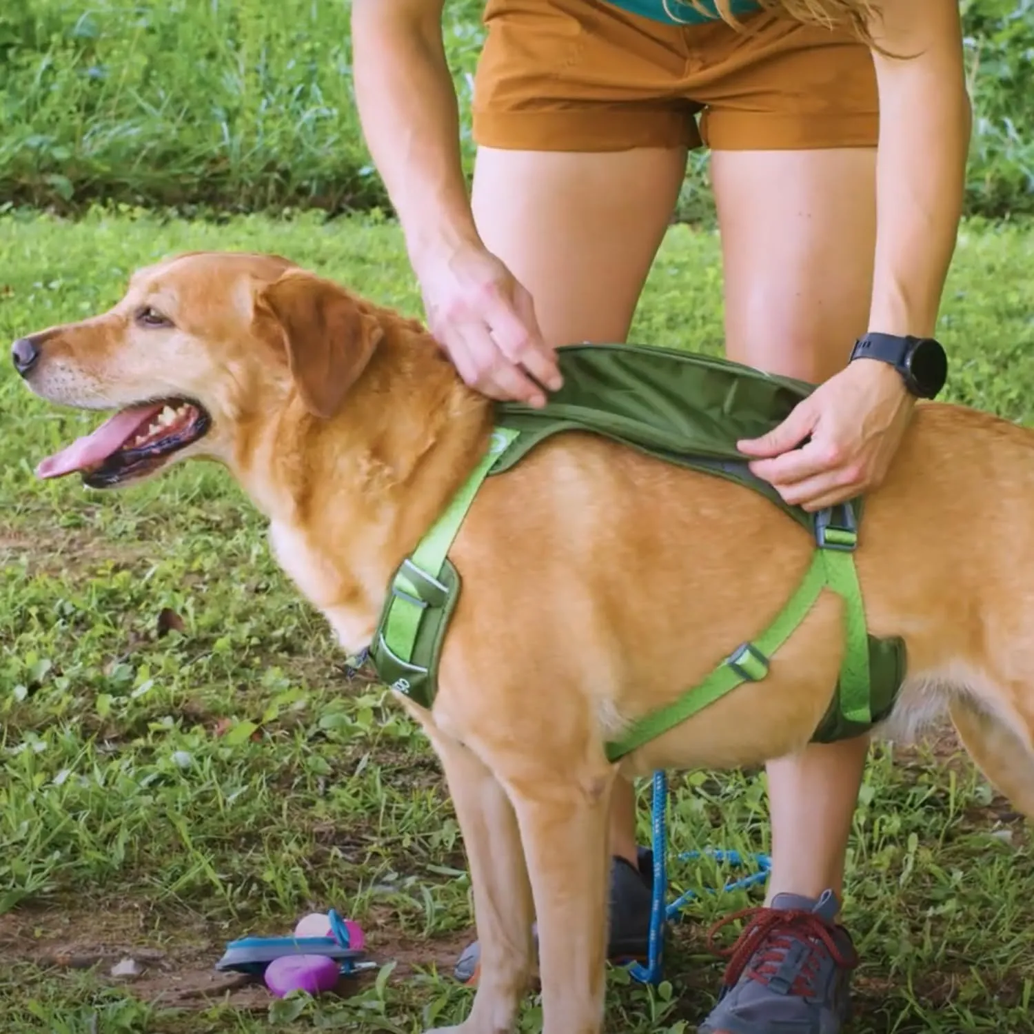 Kurgo Cascade Harness, Hiking Backpack for Dogs, Pet Harness with Backpack for Camping with a Dog (Orange, Large)