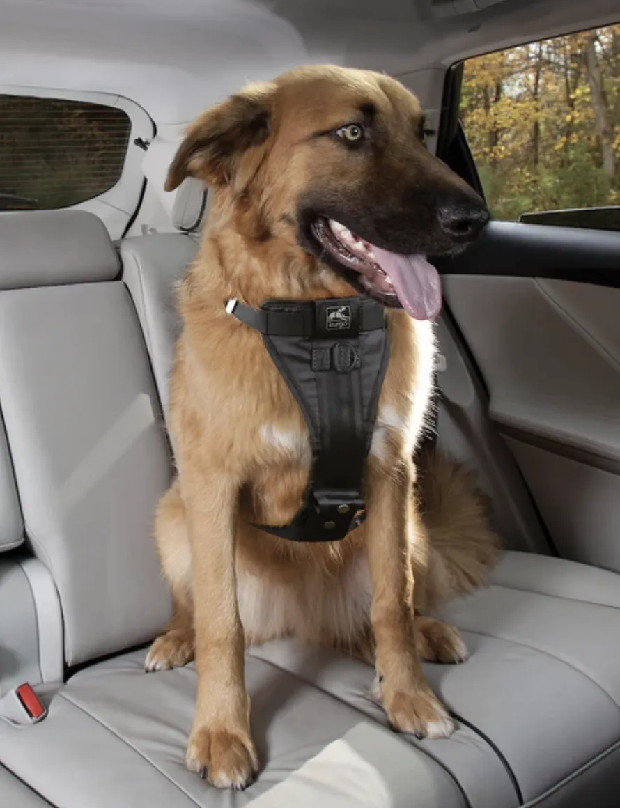 Kurgo Enhanced Strength Tru-Fit Dog Car Harness Purple