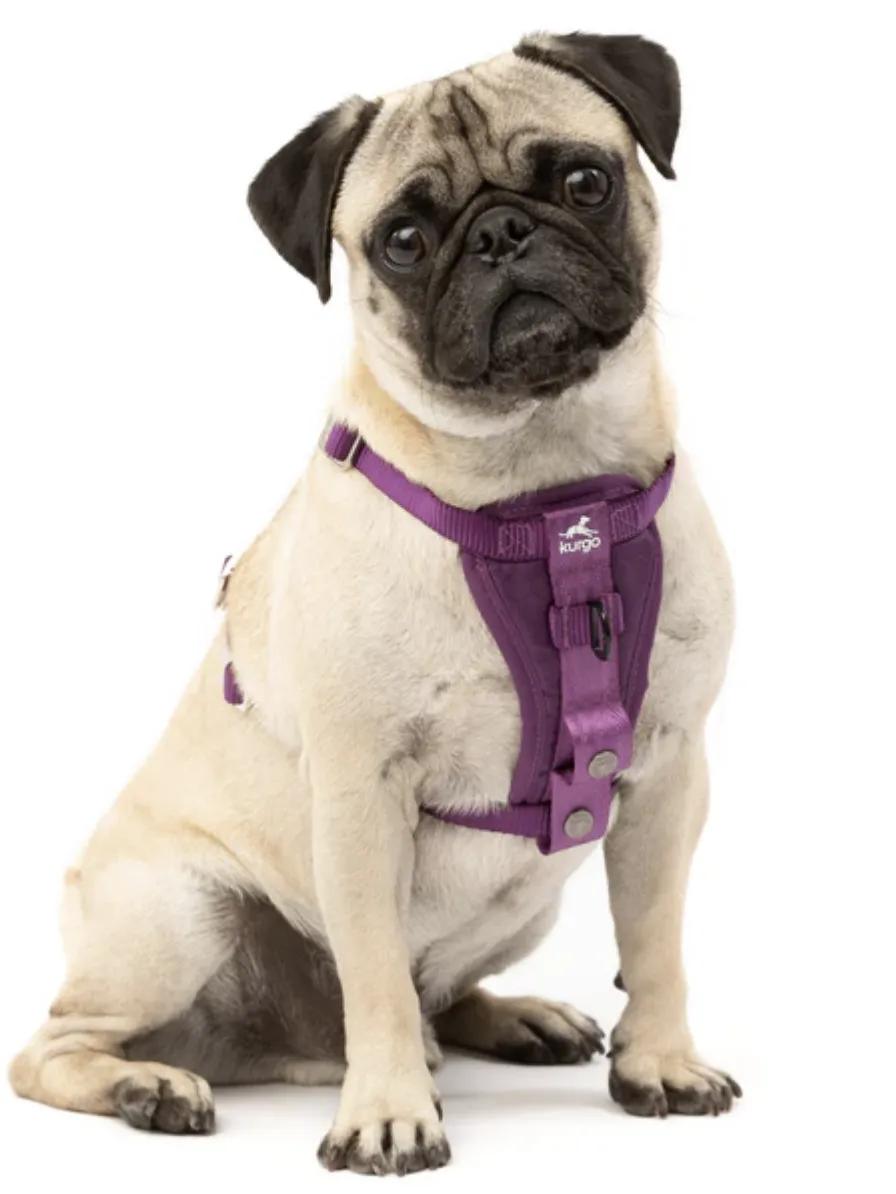 Kurgo Enhanced Strength Tru-Fit Dog Car Harness Purple