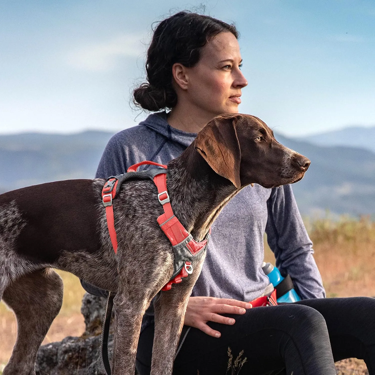 Kurgo Journey Air Dog Harness, Vest Harnesses for Dogs, Pet Hiking Harness for Running & Walking, Reflective, Padded, Includes Control Handle, No Pull Front Clip (Coral, Small)
