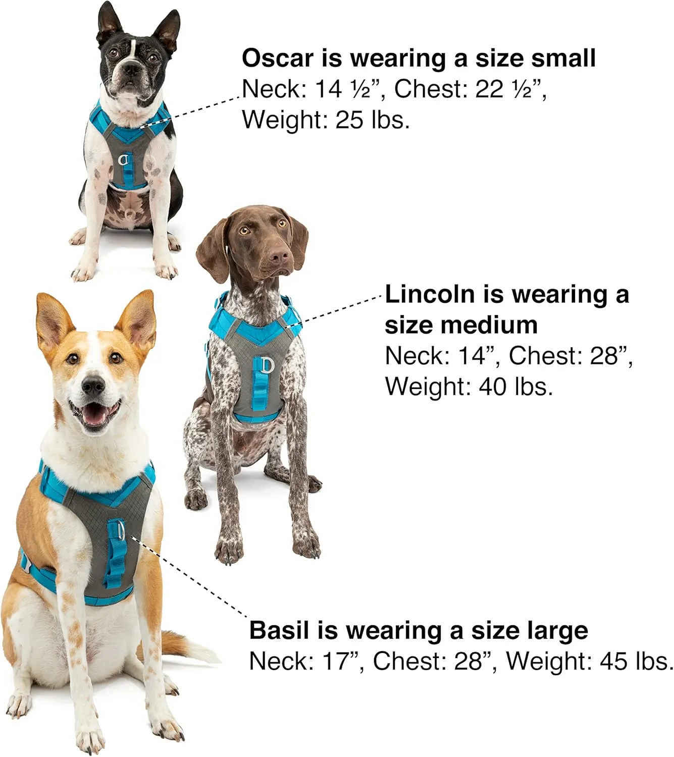 Kurgo Journey Air Dog Harness, Vest Harnesses for Dogs, Pet Hiking Harness for Running & Walking, Reflective, Padded, Includes Control Handle, No Pull Front Clip (Coral, Small)