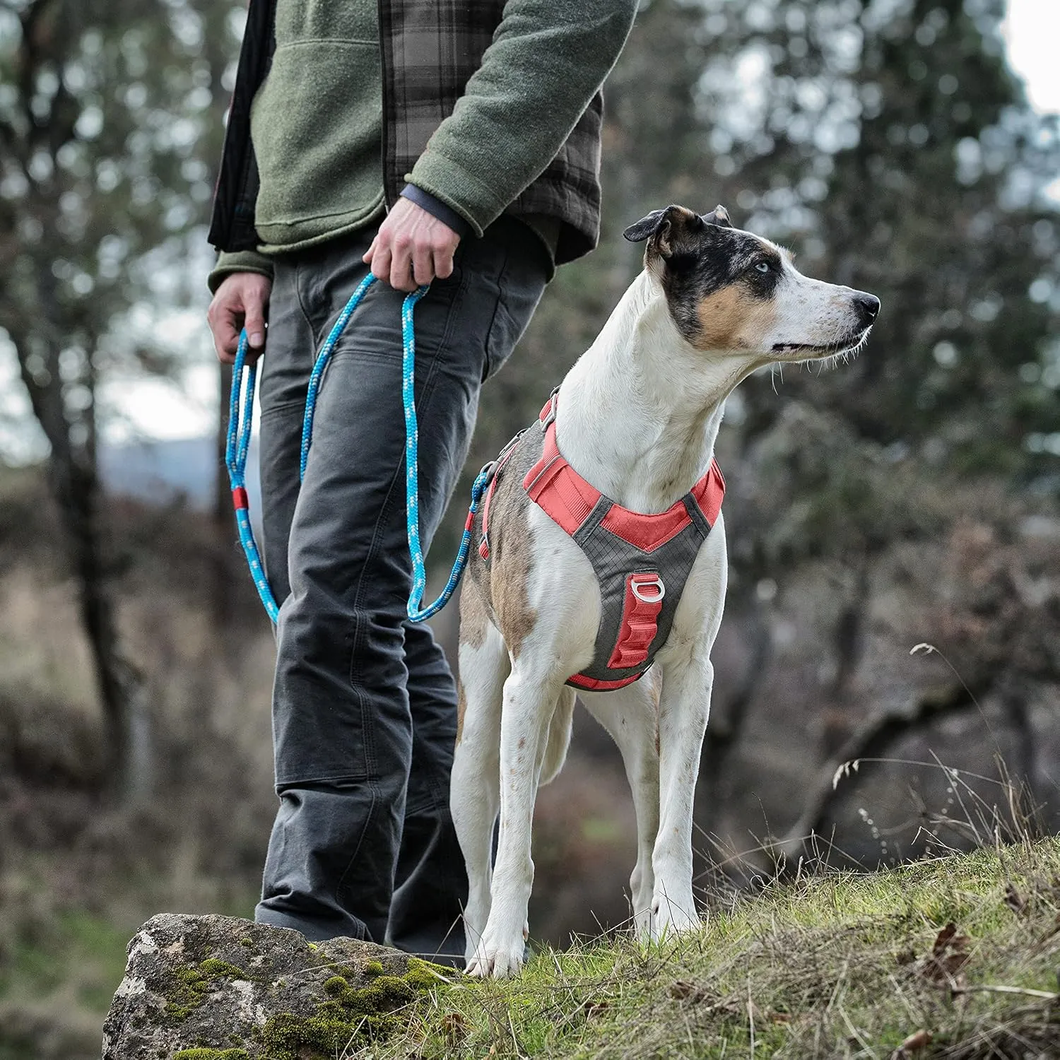 Kurgo Journey Air Dog Harness, Vest Harnesses for Dogs, Pet Hiking Harness for Running & Walking, Reflective, Padded, Includes Control Handle, No Pull Front Clip (Coral, Small)