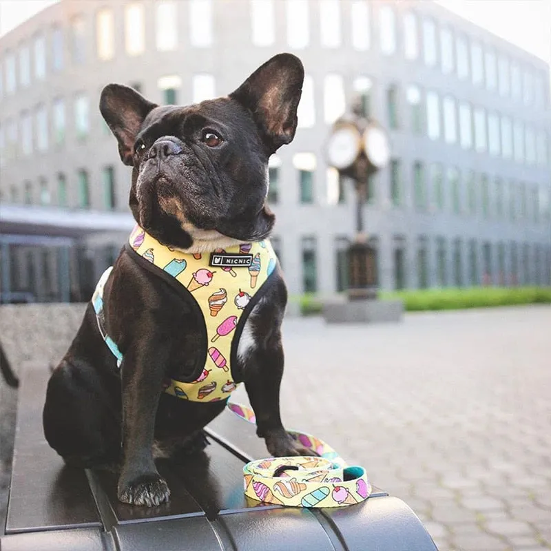 Leash Harness Set For French Bulldog