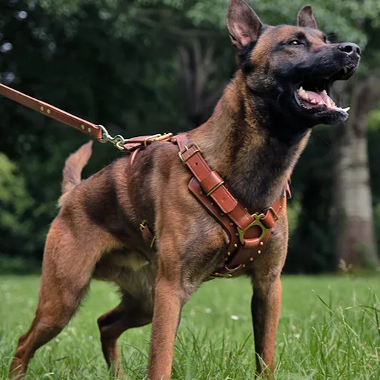 Leather Dog Harness - "Attila" Brown/Brass