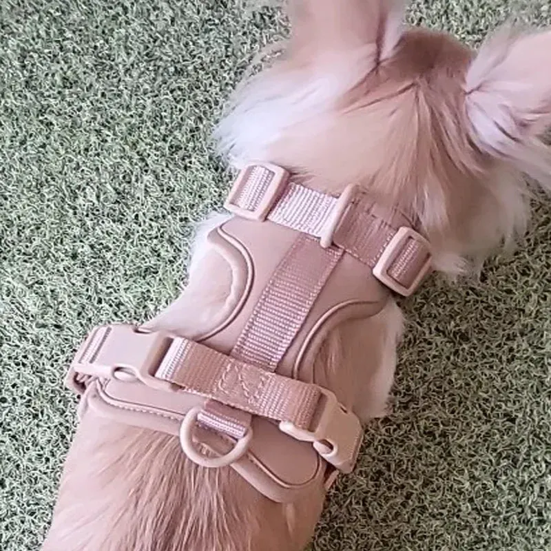 Light Pink Double Dog Leash Set - Adjustable PVC Harness
