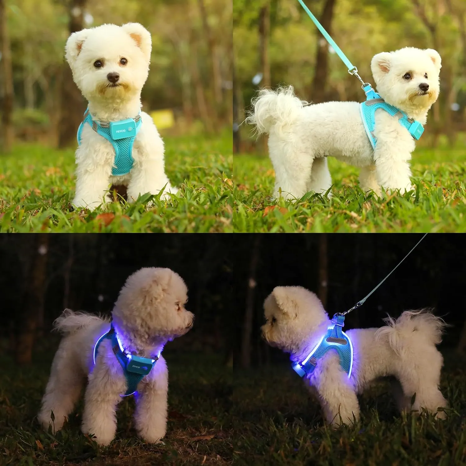 Light Up Dog Harness,Rechargeable LED Dog Harness for Small Medium Large Dogs,Reflective Lighted Safety Vest for Night Walking & Camping,Lightweight & Adjustable,Blue,M