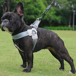 New French Bulldog Harnesses