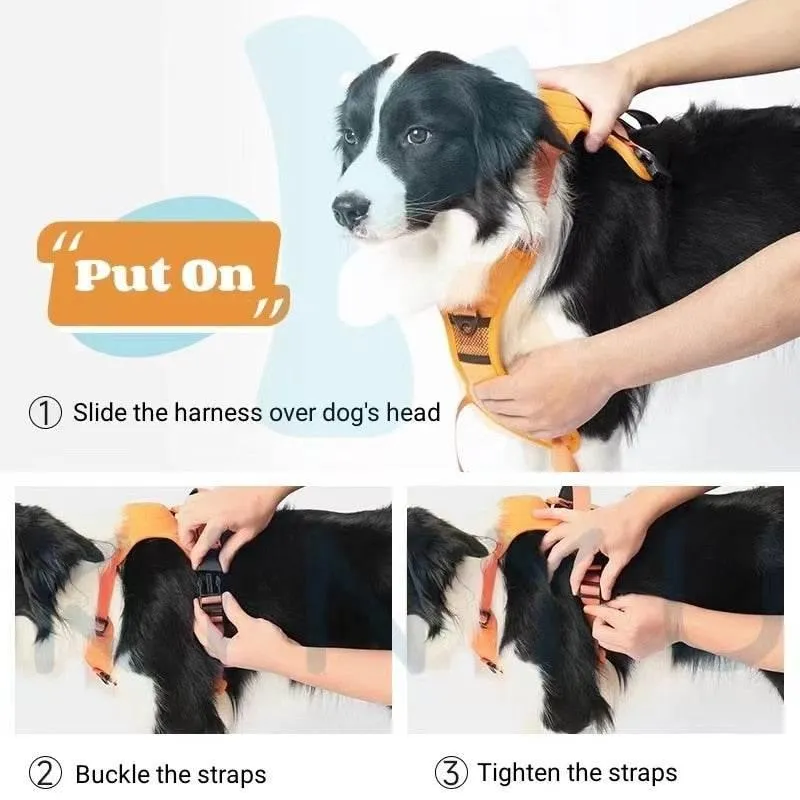 No-Pull Dog Harness - Adjustable Comfortable Training Leash