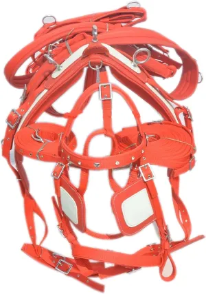 Nylon Horse Driving Harnesss For Single Horse In Red/White With Diamonte Browbnd Bridle