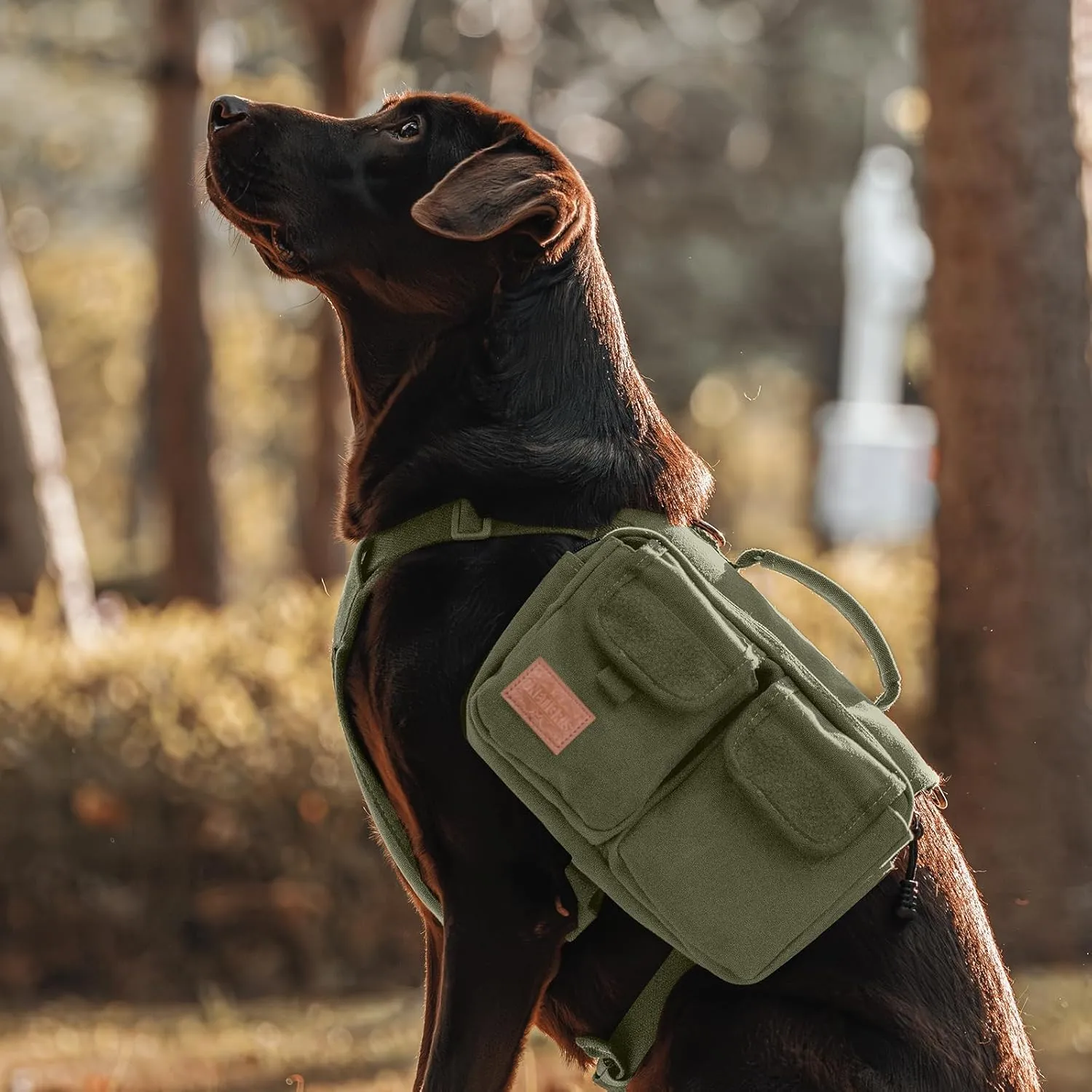 OneTigris Dog Hiking Backpack, Dog Pack for Medium Large Dogs, HOPPY CAMPER 3.0 Dog Saddle Bag Harness Outdoor Hiking (M, Green)