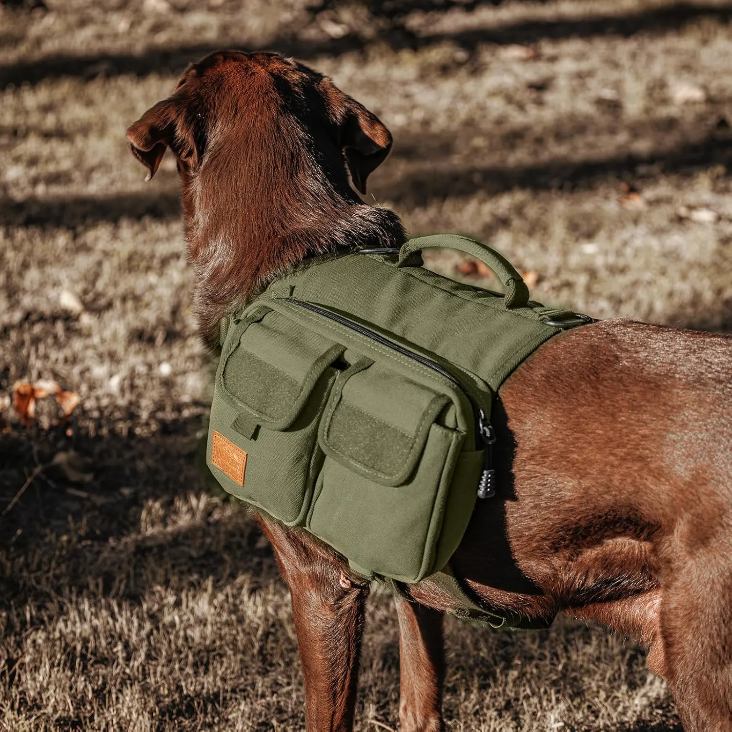 OneTigris Dog Hiking Backpack, Dog Pack for Medium Large Dogs, HOPPY CAMPER 3.0 Dog Saddle Bag Harness Outdoor Hiking (M, Green)