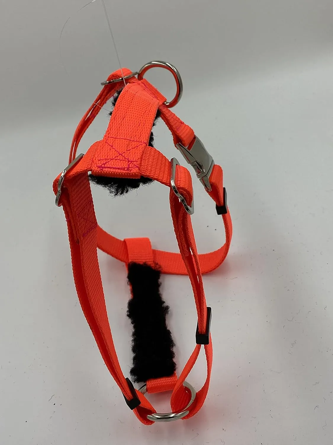 PADDED Carter Pet Supply PIG HOG Harness METAL Buckle Heavy Duty (Small, BLACK)