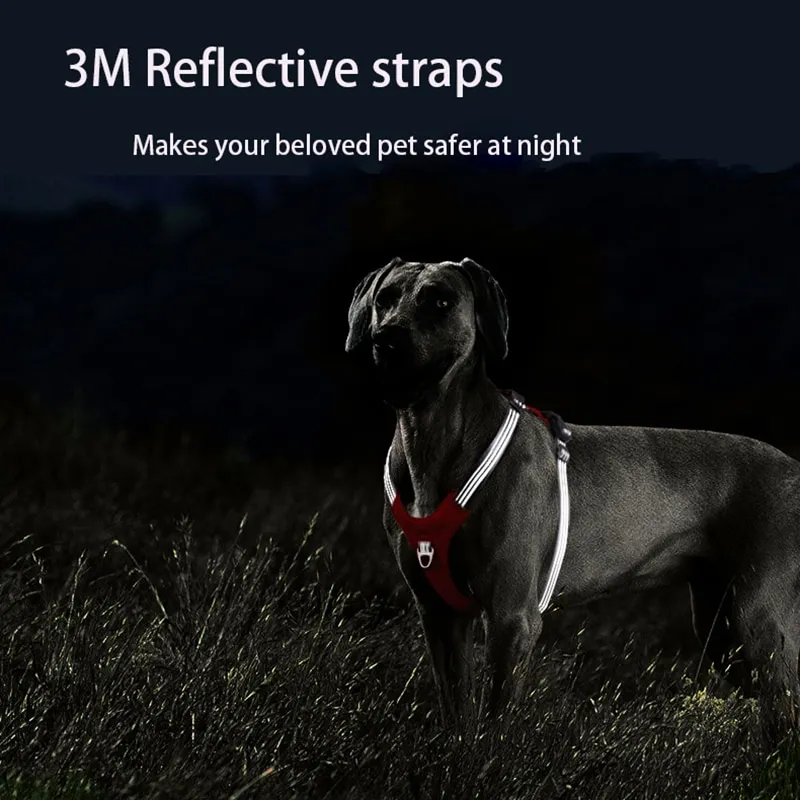 Padded Reflective Nylon Dog Harness
