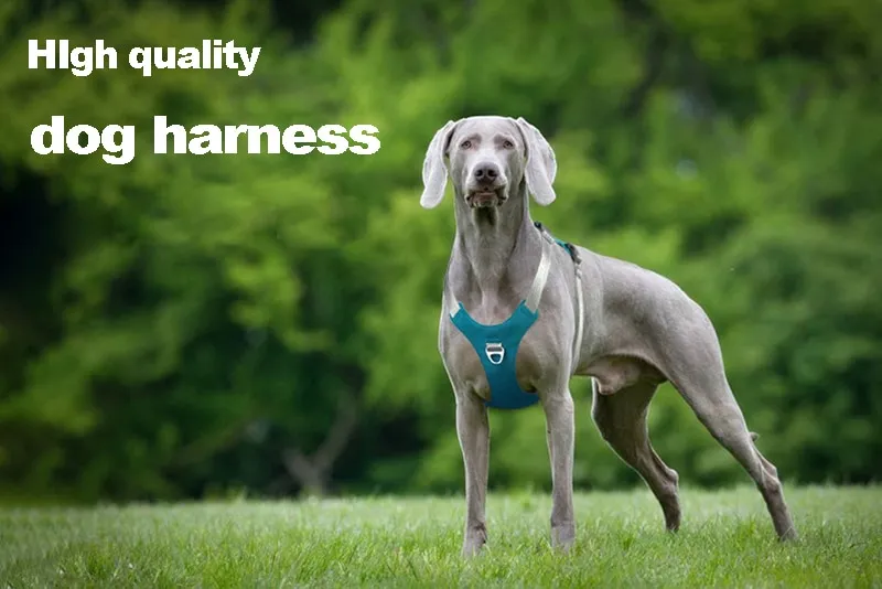 Padded Reflective Nylon Dog Harness