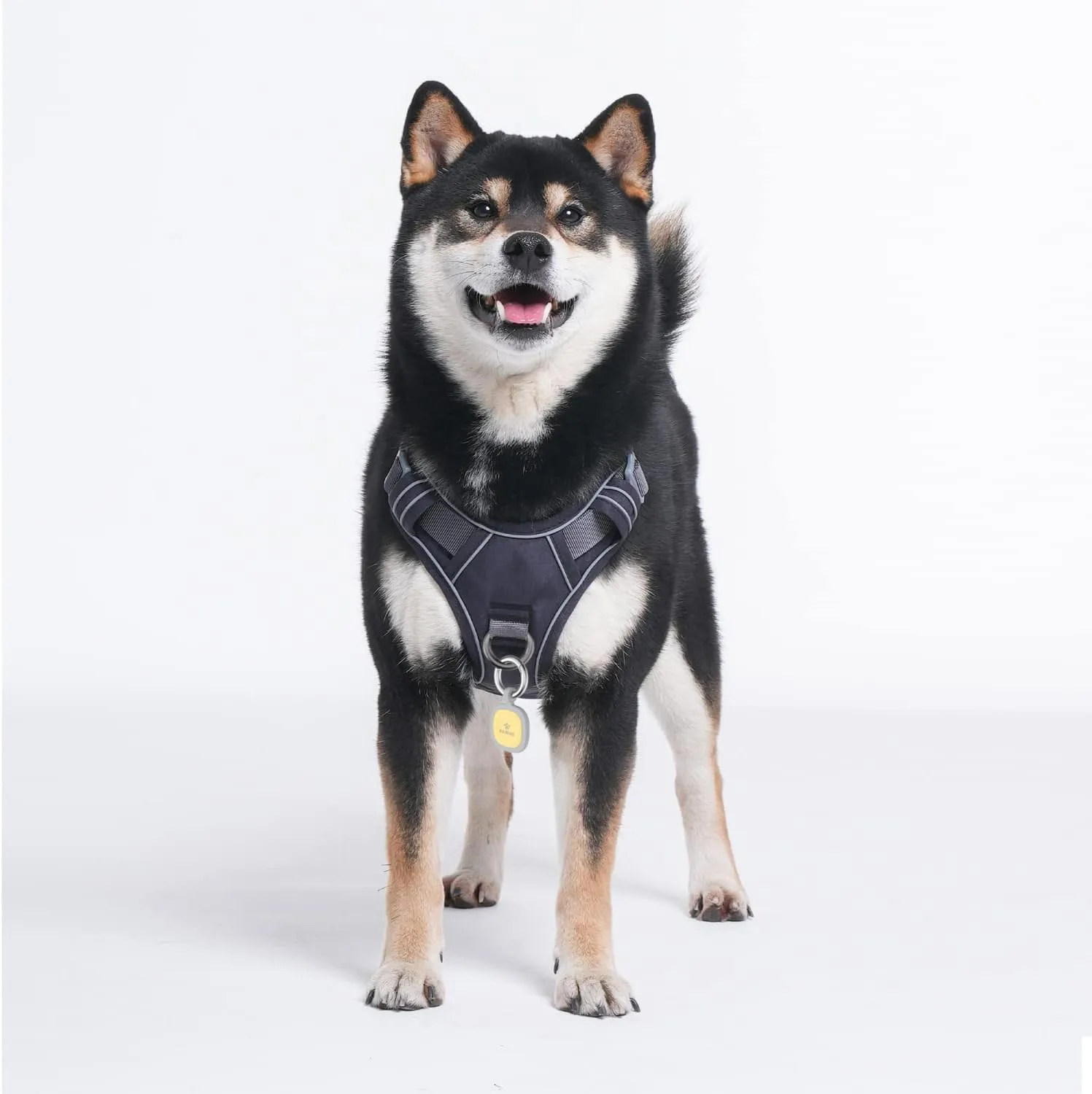Pawaii No Pull Dog Harness with Pet ID Tag,Reflective Strips No Choke Front O Ring Breathable Mesh Adjustable Soft Padded Pet Vest with Easy Control Handle for Small Dogs