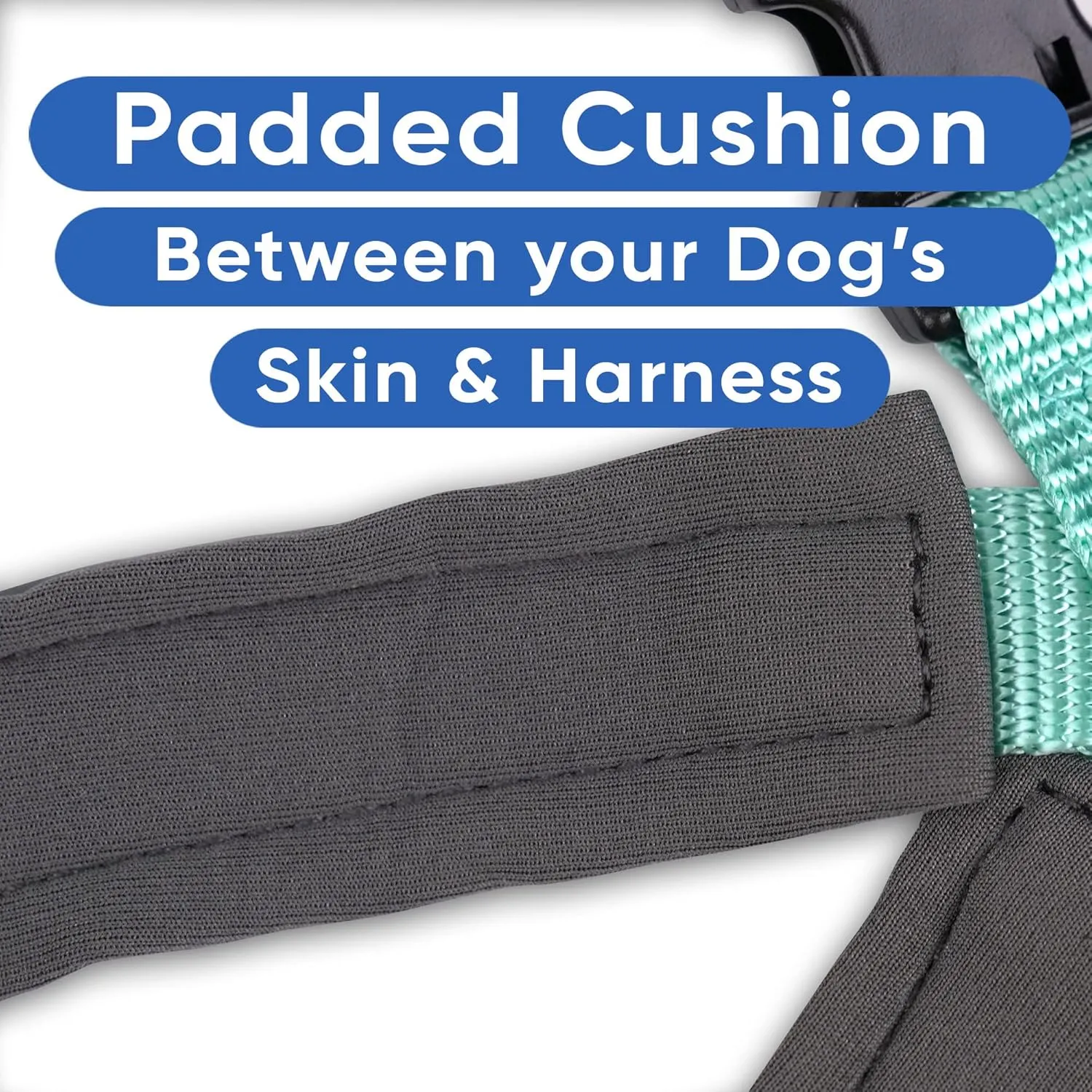 Pawtitas Reflective Dog Harness - Padded, Comfort Control for Walks or Runs - Medium Teal