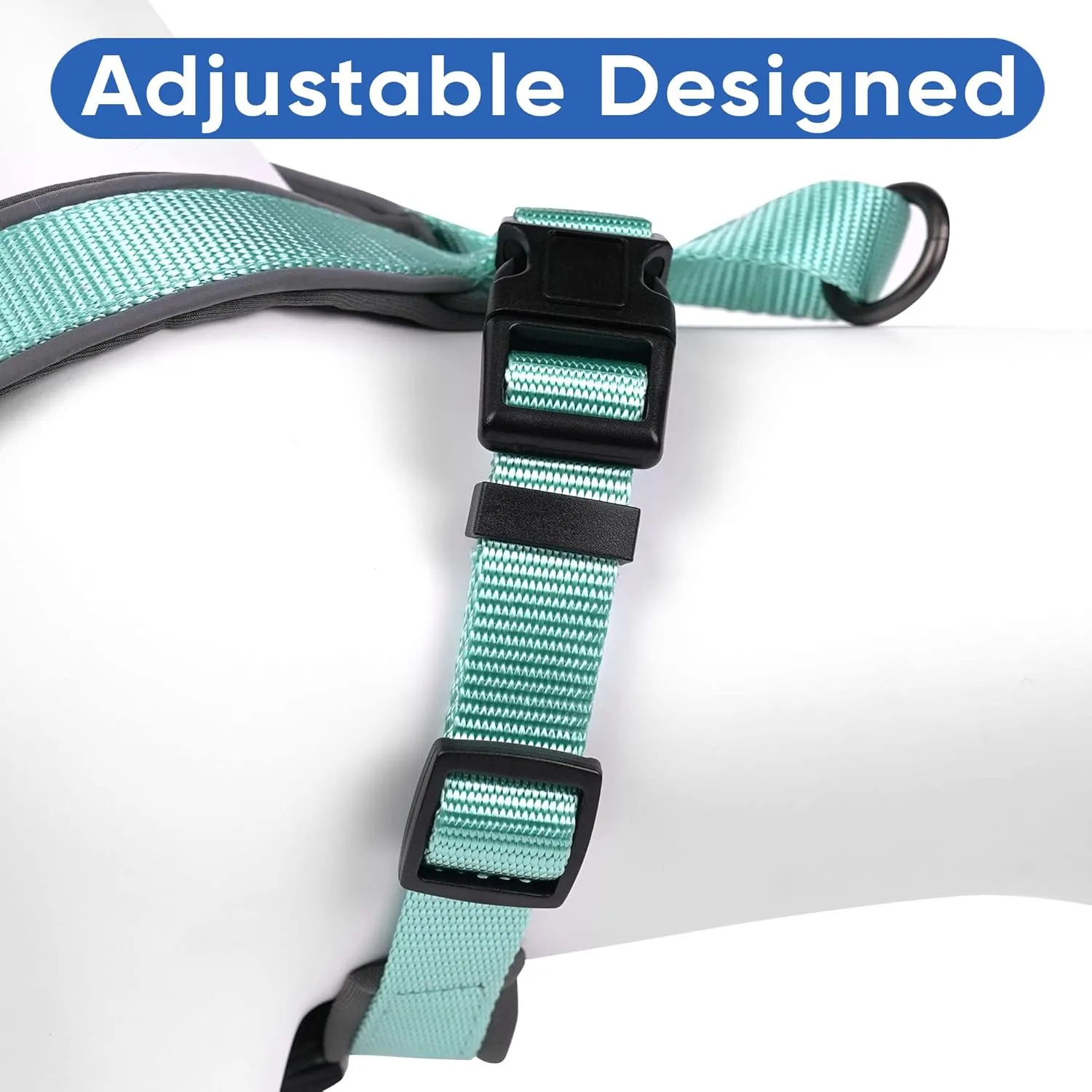 Pawtitas Reflective Dog Harness - Padded, Comfort Control for Walks or Runs - Medium Teal