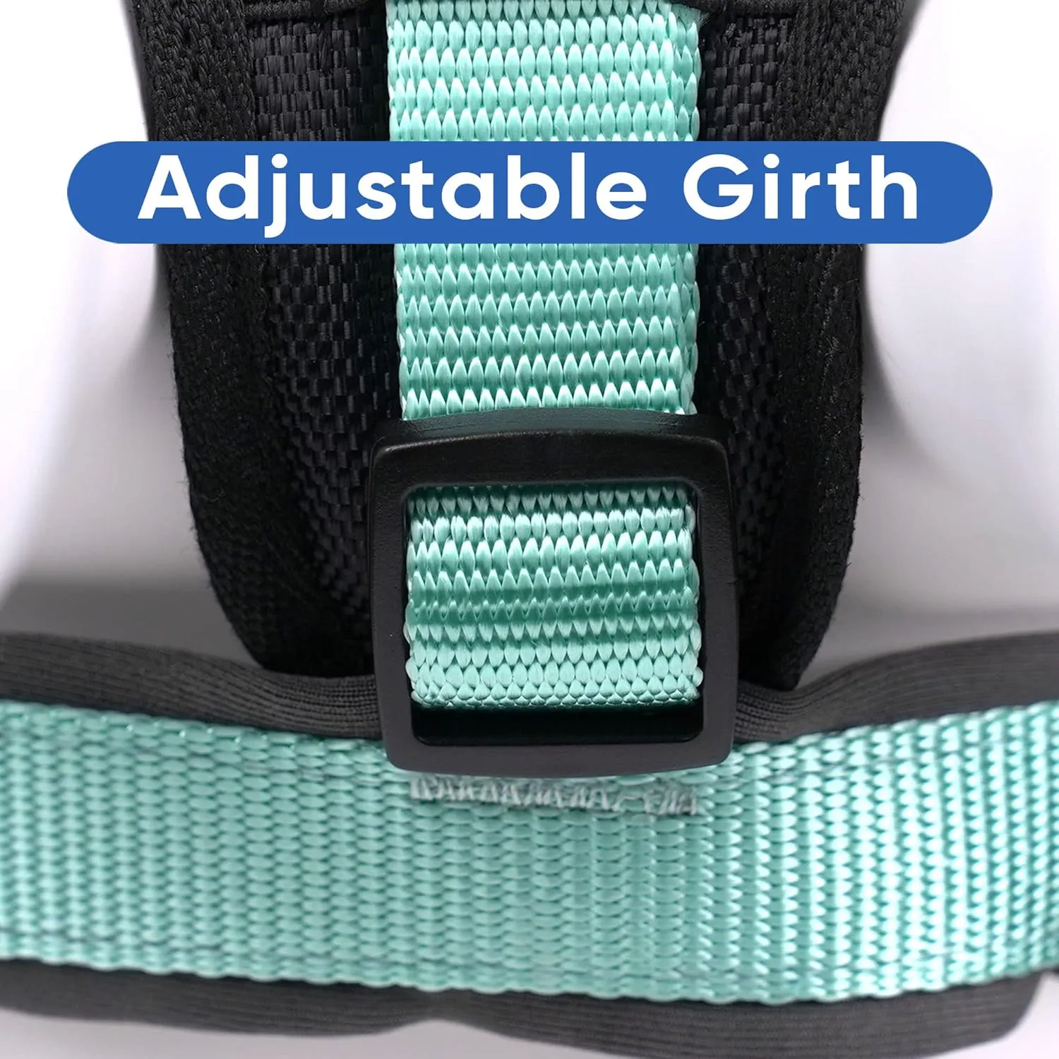 Pawtitas Reflective Dog Harness - Padded, Comfort Control for Walks or Runs - Medium Teal