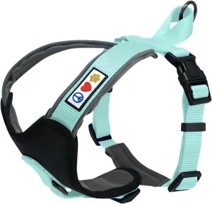 Pawtitas Reflective Dog Harness - Padded, Comfort Control for Walks or Runs - Medium Teal