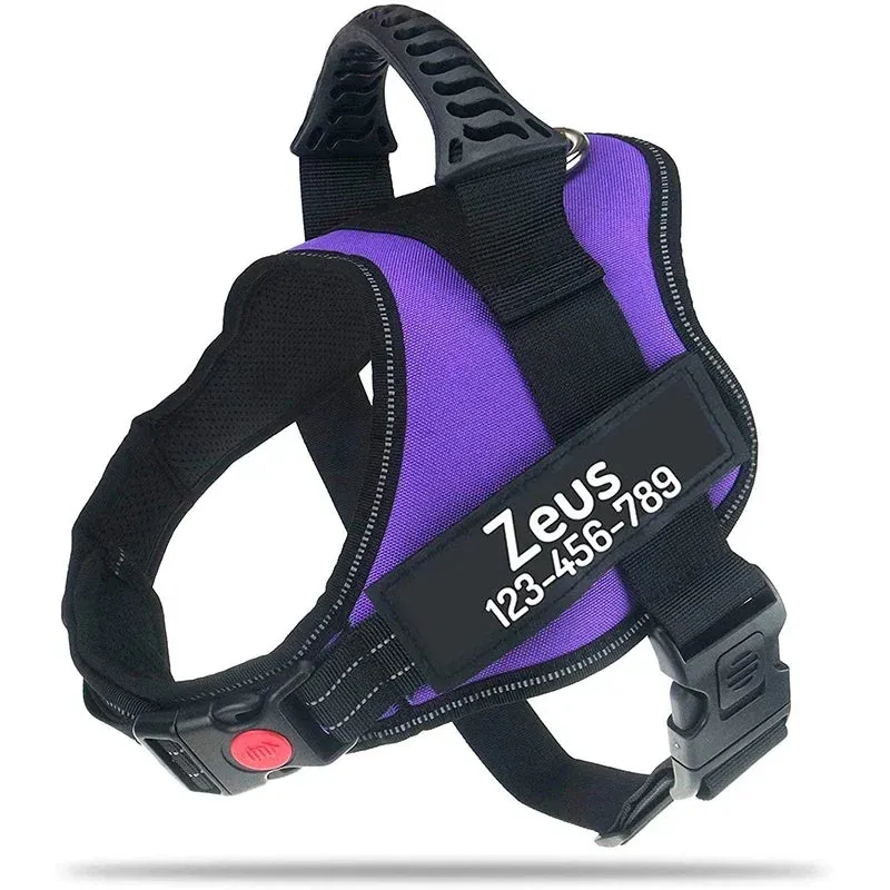 Personalized Heavy Duty No Pull Dog Harness