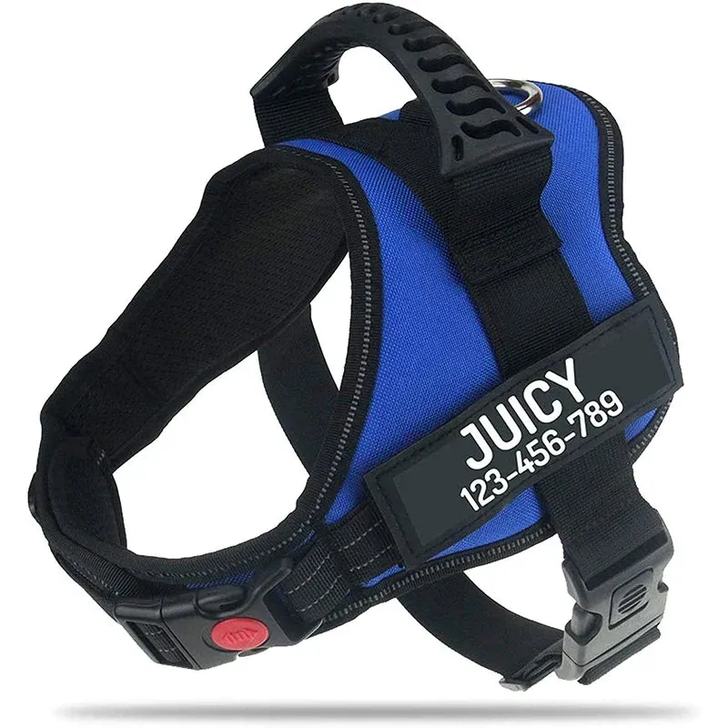 Personalized Heavy Duty No Pull Dog Harness