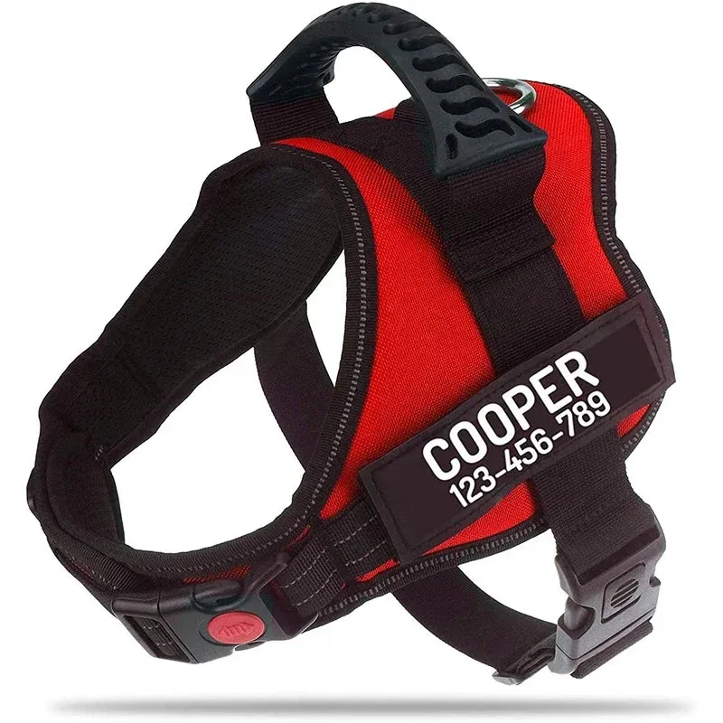 Personalized Heavy Duty No Pull Dog Harness