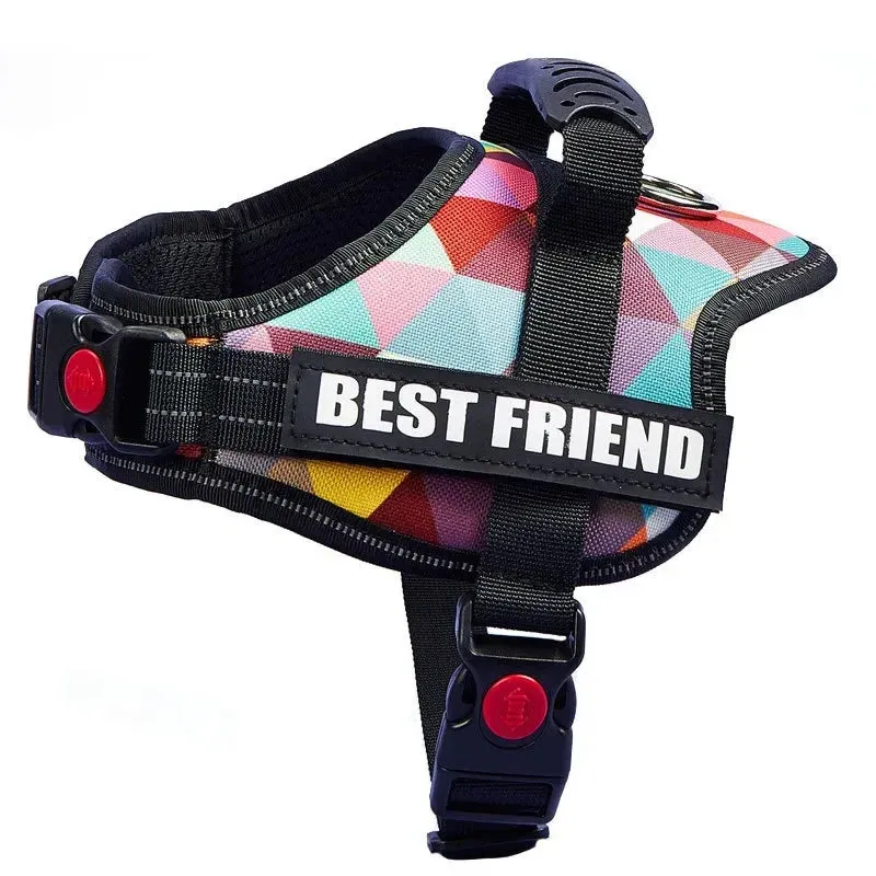 Personalized Heavy Duty No Pull Dog Harness