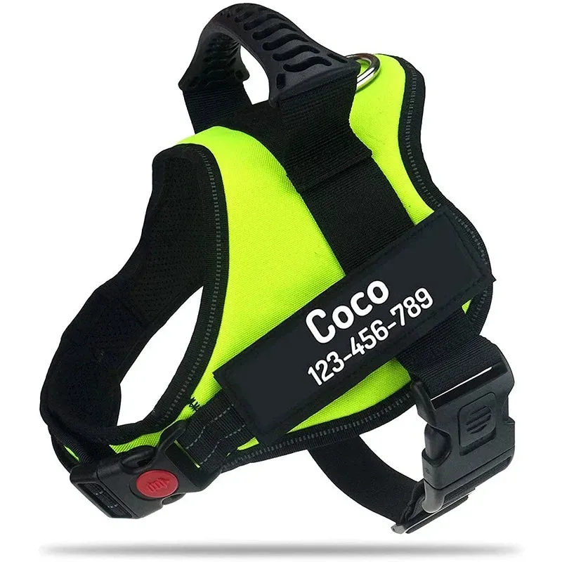 Personalized Heavy Duty No Pull Dog Harness