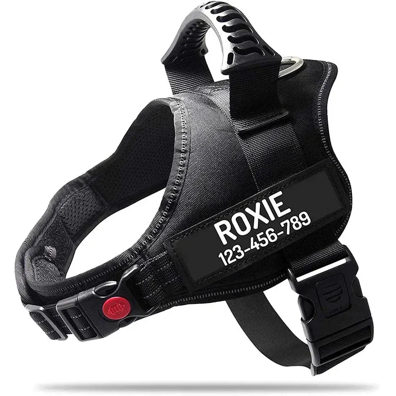 Personalized Heavy Duty No Pull Dog Harness