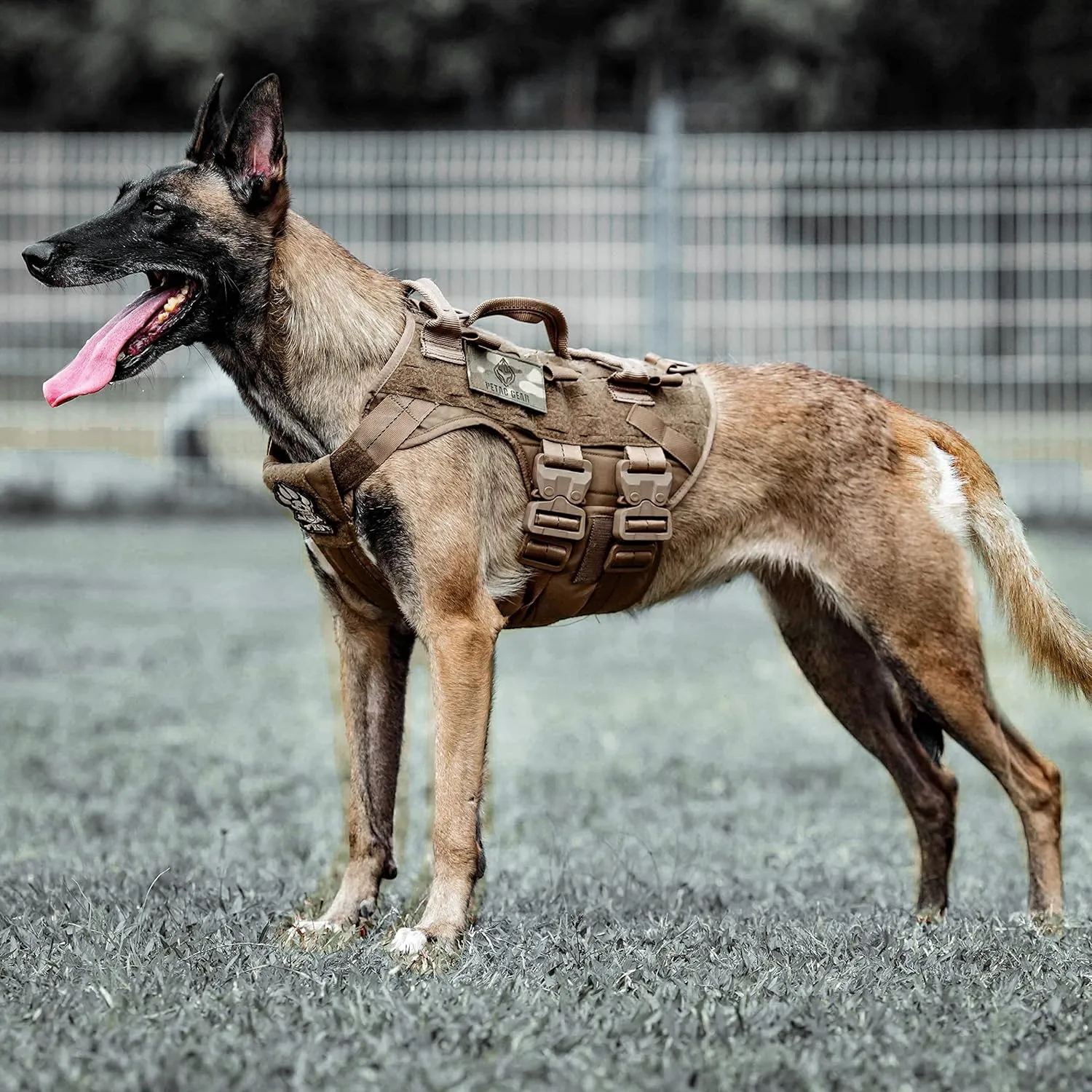 PETAC GEAR Tactical Dog Harness K9 Dog Training Vest Adjustable Padded Police Service Dog Working MOLLE Vests for Large Medium Dogs Mals GSD Lab… …