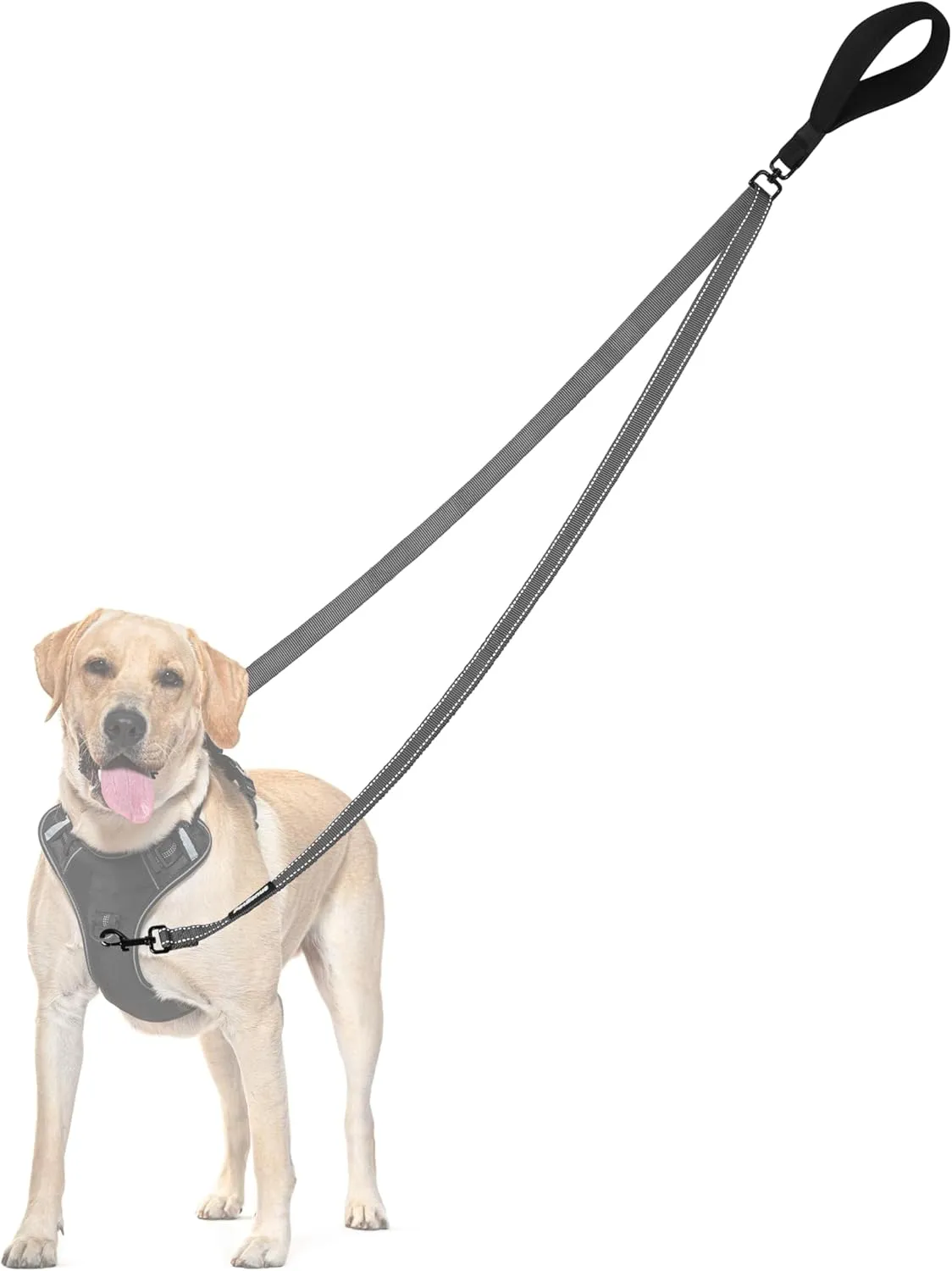 PetBonus Two Point Control Dog Leash, Works with No Pull Harnesses, No Tangle Dog Training Leashes, No Pull Padded and Reflective Walking Lead, Converts to Single Leash for Medium Large Dogs (Grey)