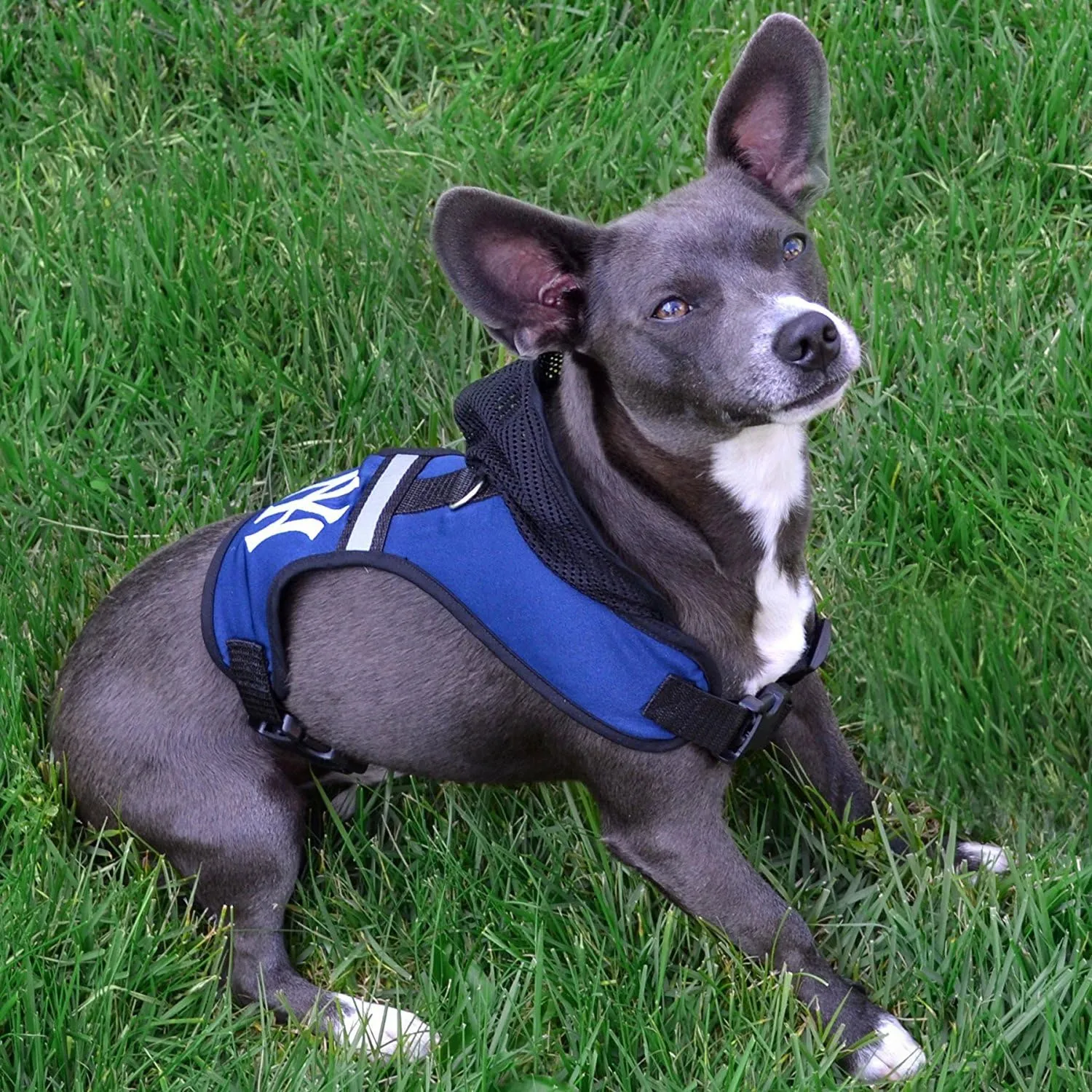 Pets First New Orleans Saints Harness, Medium