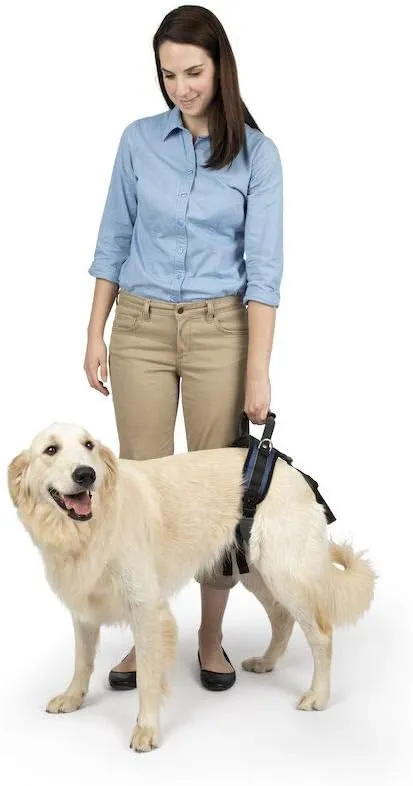 PetSafe CareLift Rear Support Harness - Lifting Aid with Handle and Shoulder Strap - Fits Waist Measuring 27-37 inches, Dog Weight 70lb-130lb, Large, Black