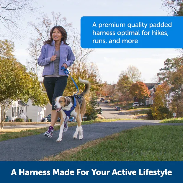 Petsafe Easysport Harness Teal Lg
