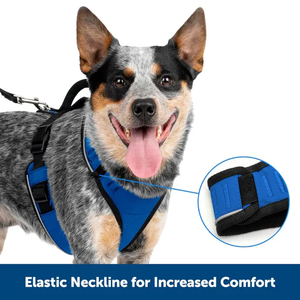 Petsafe Easysport Harness Teal Lg