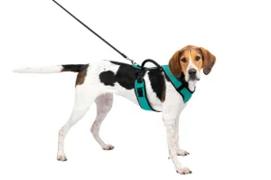 Petsafe Easysport Harness Teal Lg