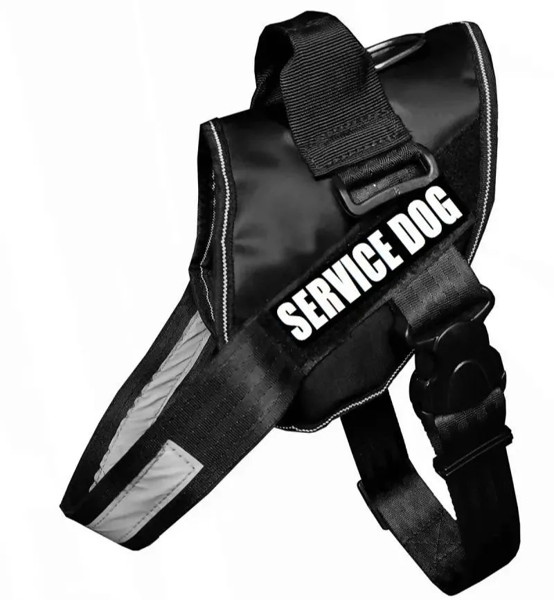 Petshop7 Service Dog Safety Harness (Small, Black)
