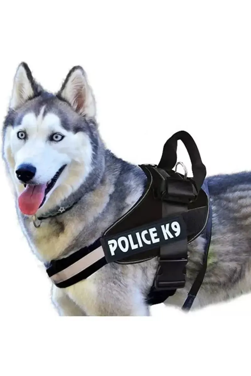 Petshop7 Service Dog Safety Harness (Small, Black)