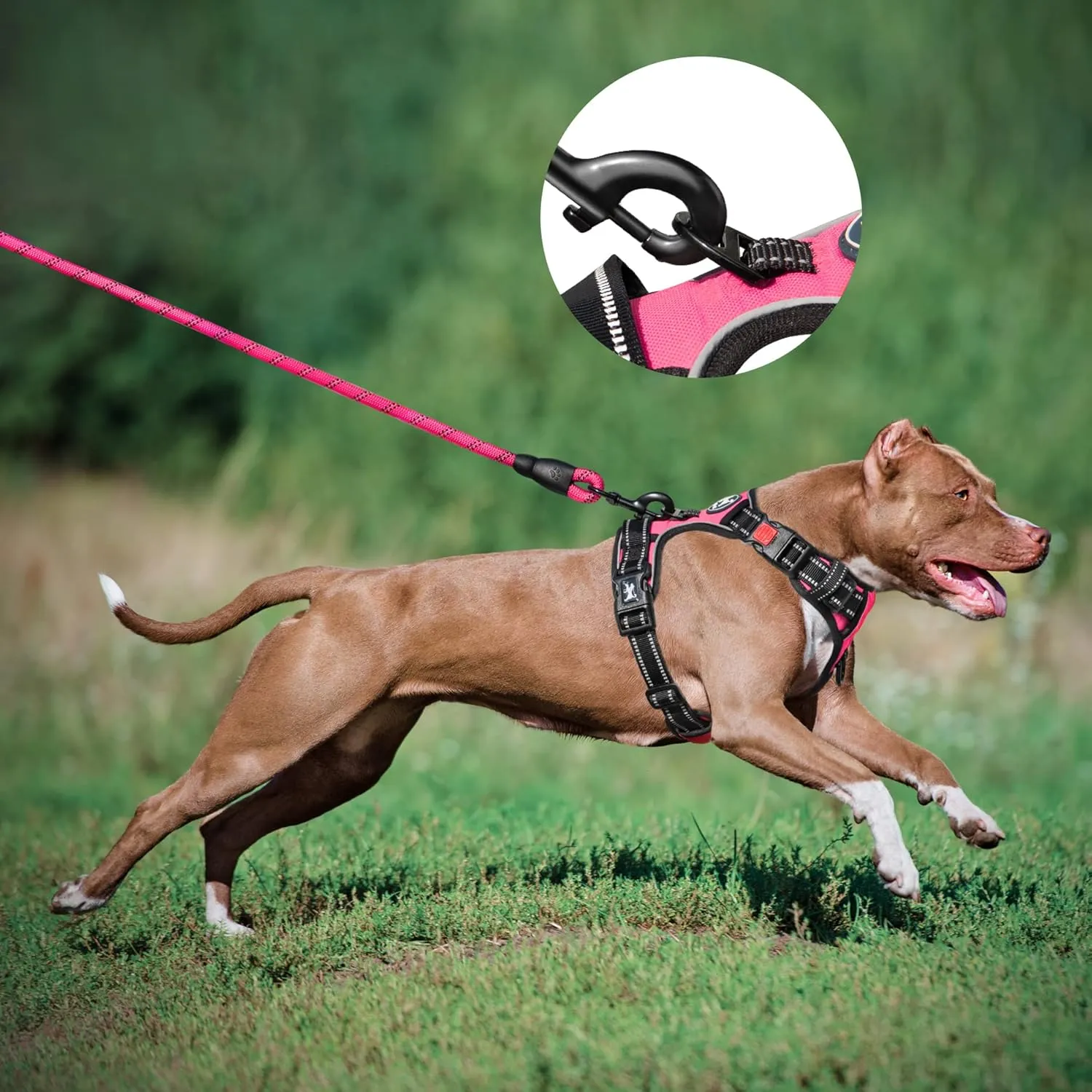 PoyPet Dog Harness and Leash Combo, Escape Proof No Pull Vest Harness, with 5 Feet Leash, Reflective Adjustable Soft Padded Pet Harness with Handle for Small to Large Dogs(Pink,M)