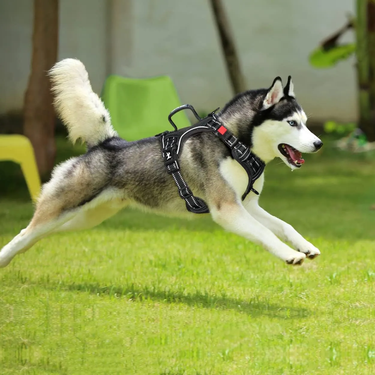 PoyPet No Pull Dog Harness, No Choke Front Clip Reflective Dog Vest with Soft Padded Vertical Handle, 3 Leash Attachments for Small Medium Large Dogs (Black,M)