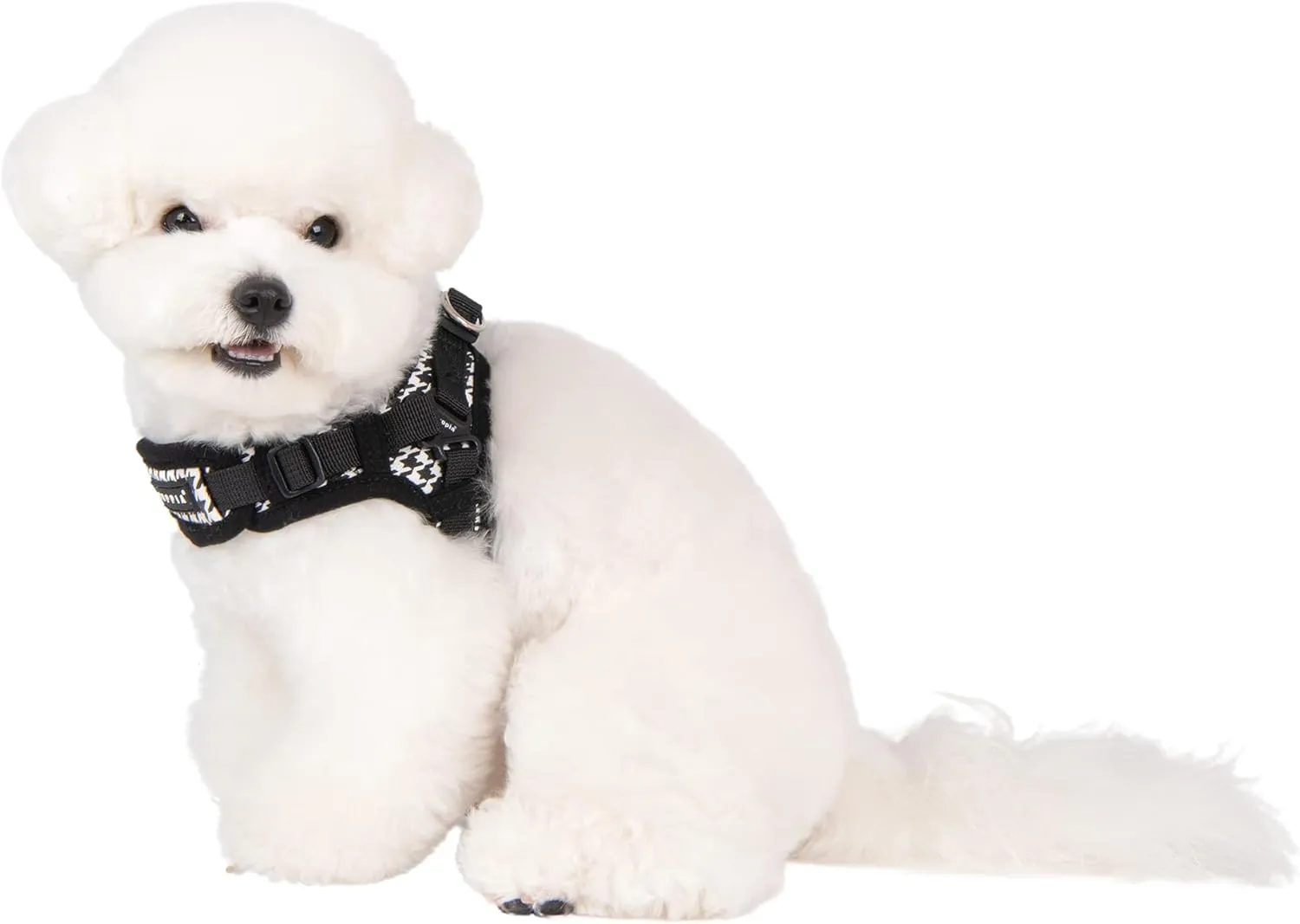 Puppia Spring and Summer Fashion X Type Dog Harness, Black_Egon, Medium