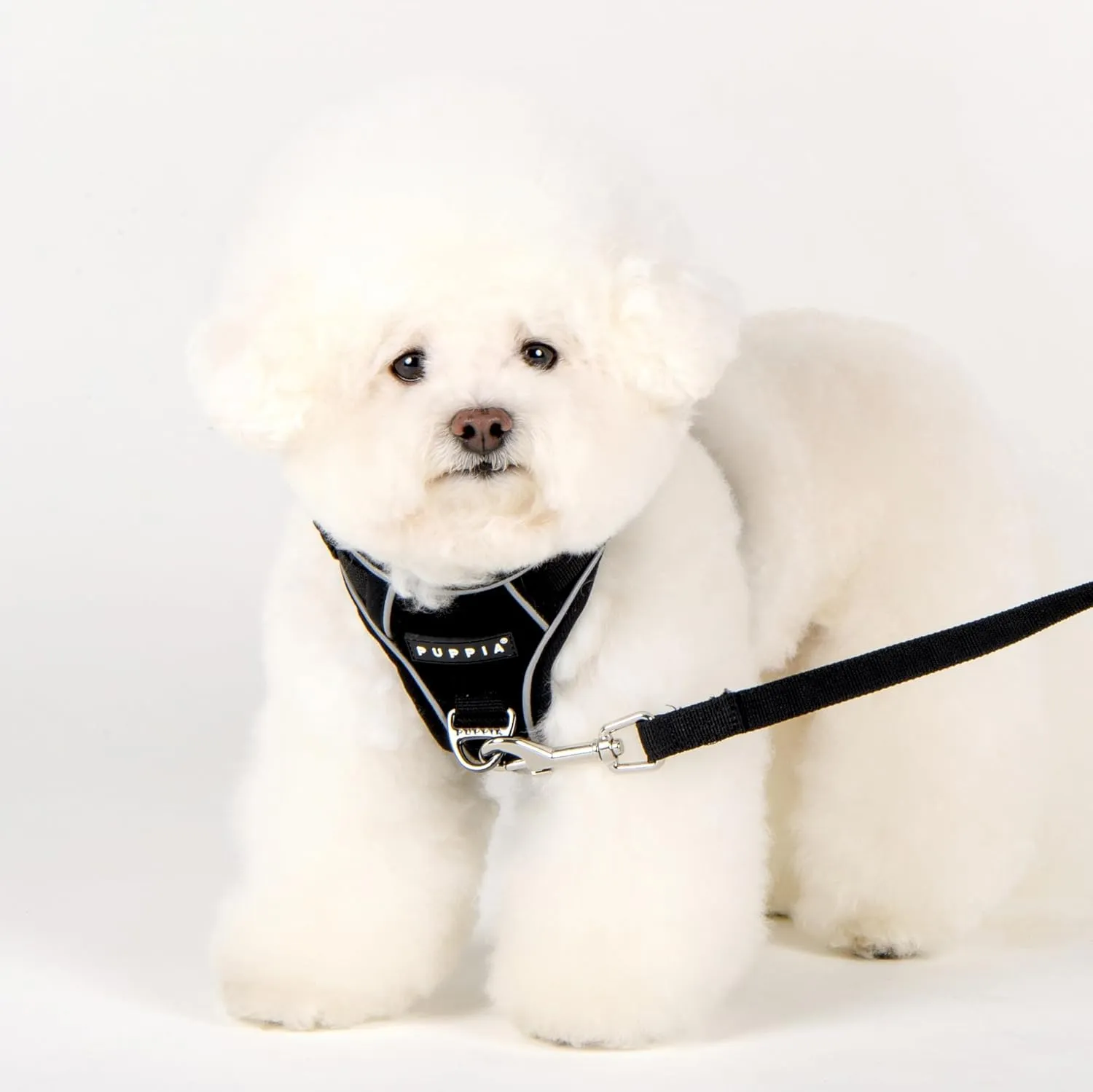 Puppia Terry Dog Harness H Suede Warm Winter Adjustable Chest and Neck Belt for Small and Medium Dog, Black, Medium