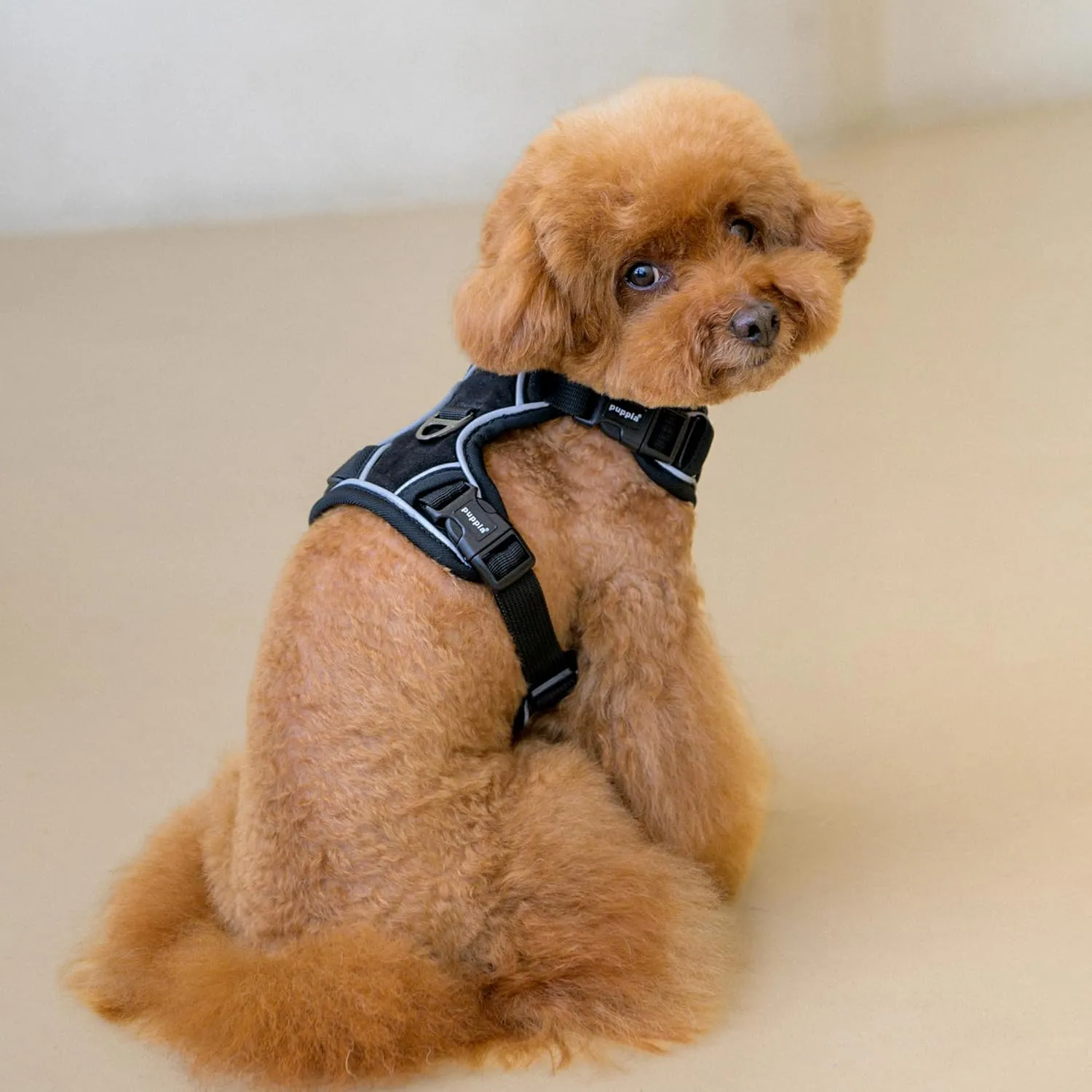 Puppia Terry Dog Harness H Suede Warm Winter Adjustable Chest and Neck Belt for Small and Medium Dog, Black, Medium