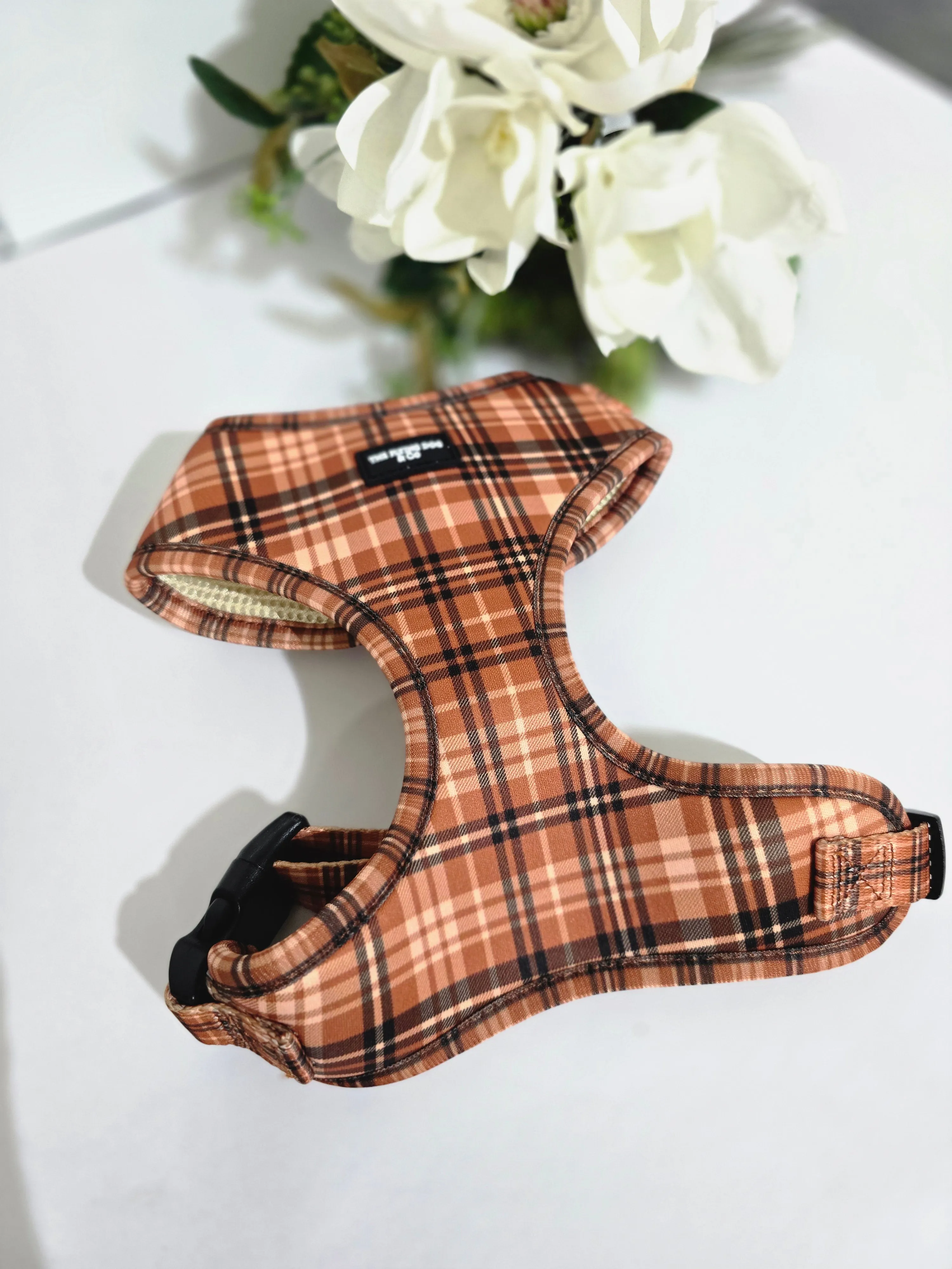 "Autumn Harvest" - adjustable harness