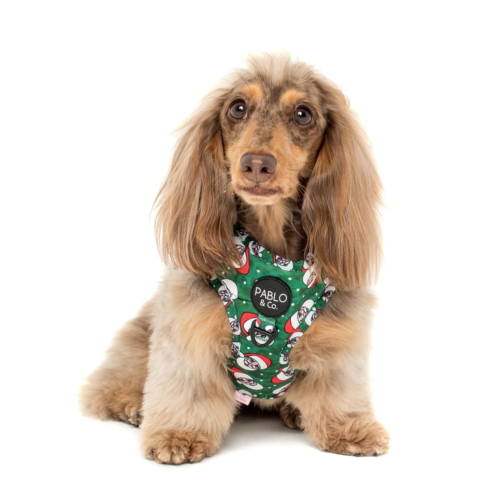 Rad Santa Adjustable Harness