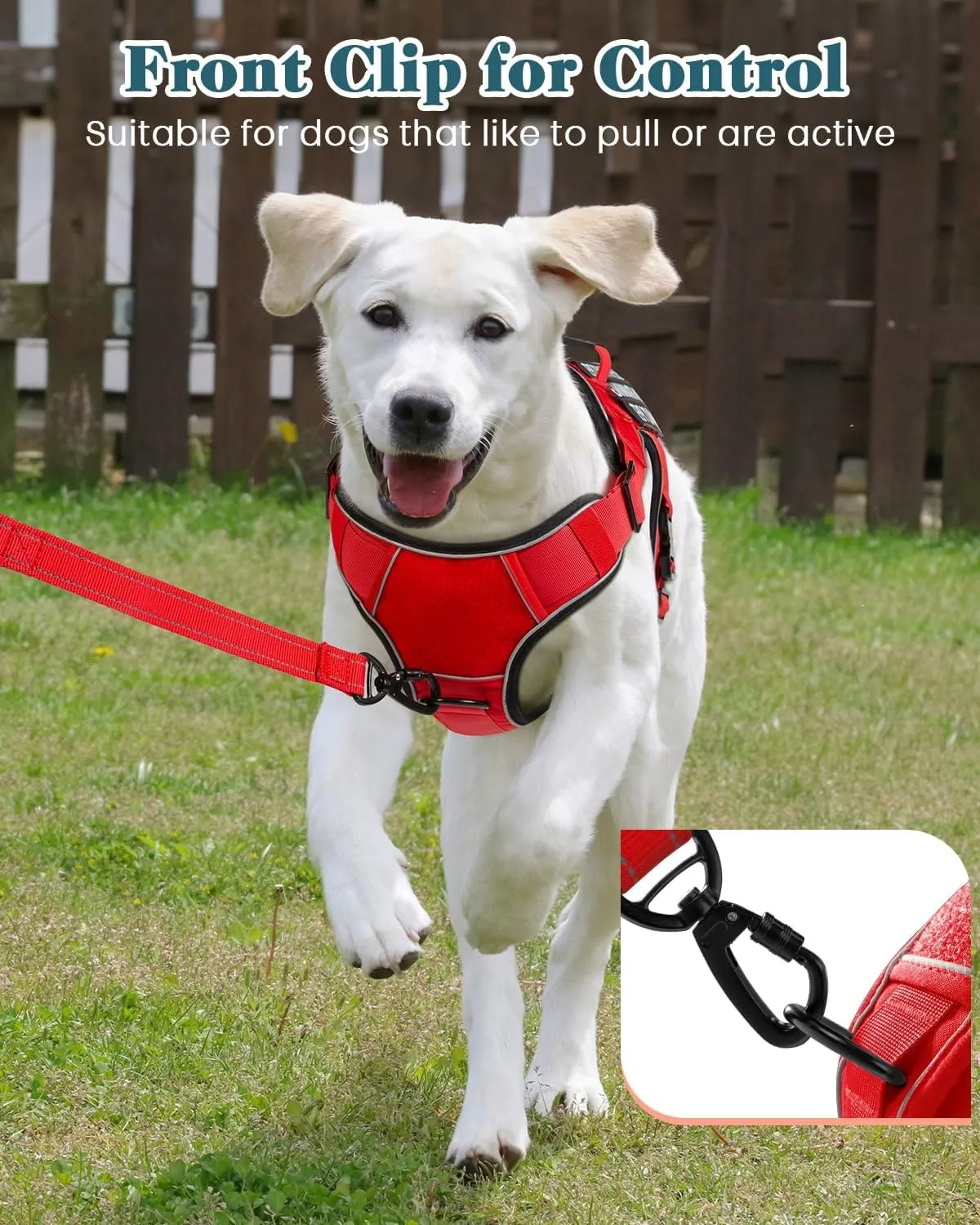 Reflective No Pull Service Dog in Training Vest Harness for Medium Large Dogs, Red Metal Buckles Front Clip Comfort Padded Adjustable Dog Harness with Do Not Pet Patches for Training Walking