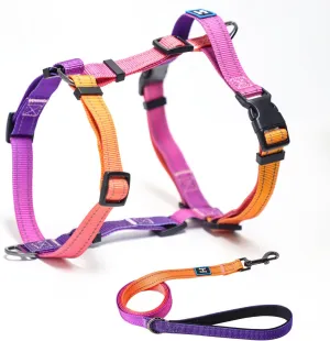 Roses&Poetry Small Dog Harness and Leash Set, No Pull Dog Harness Adjustable Reflective, Dog Halter Harnesses Comfort Padded Handle, Pet Harness for Training Outdoor Walking（Mistyrose-S